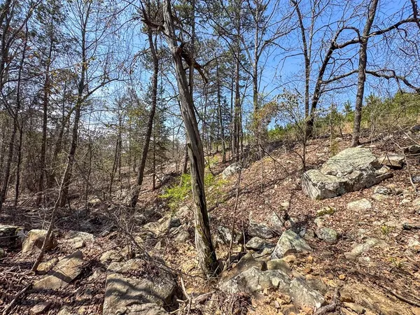 $325,000 | 1 Off N4220, Clayton, OK 74536