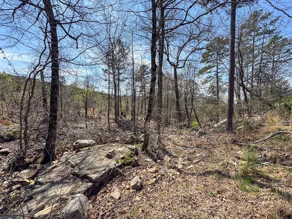 $325,000 | 1 Off N4220, Clayton, OK 74536