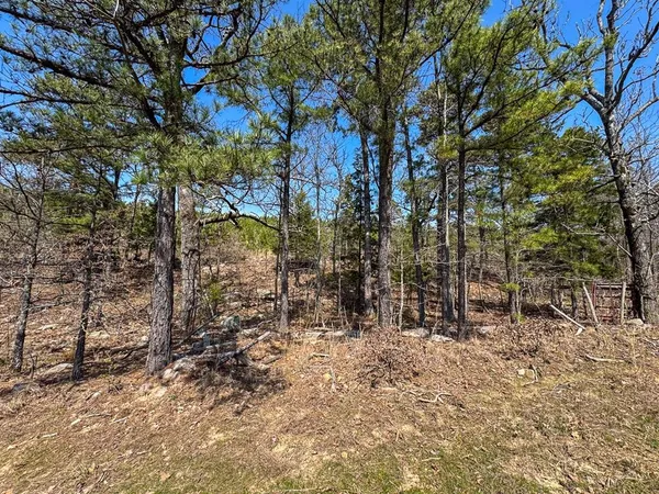 $325,000 | 1 Off N4220, Clayton, OK 74536