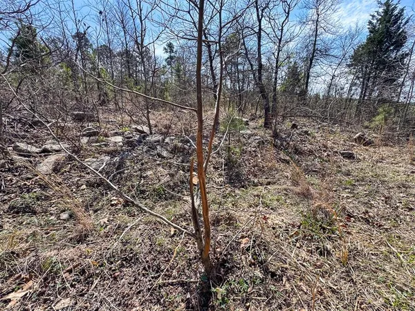 $325,000 | 1 Off N4220, Clayton, OK 74536