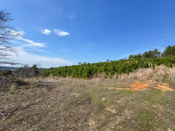 $325,000 | 1 Off N4220, Clayton, OK 74536