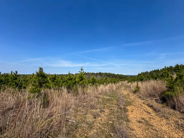$325,000 | 1 Off N4220, Clayton, OK 74536