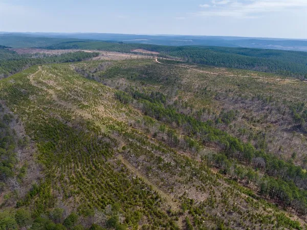 $325,000 | 1 Off N4220, Clayton, OK 74536