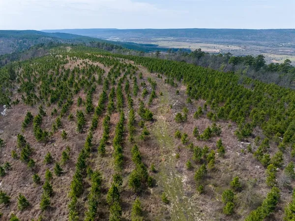 $325,000 | 1 Off N4220, Clayton, OK 74536