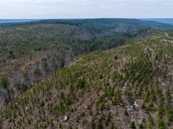 $325,000 | 1 Off N4220, Clayton, OK 74536