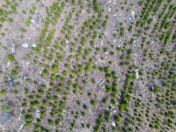 $325,000 | 1 Off N4220, Clayton, OK 74536