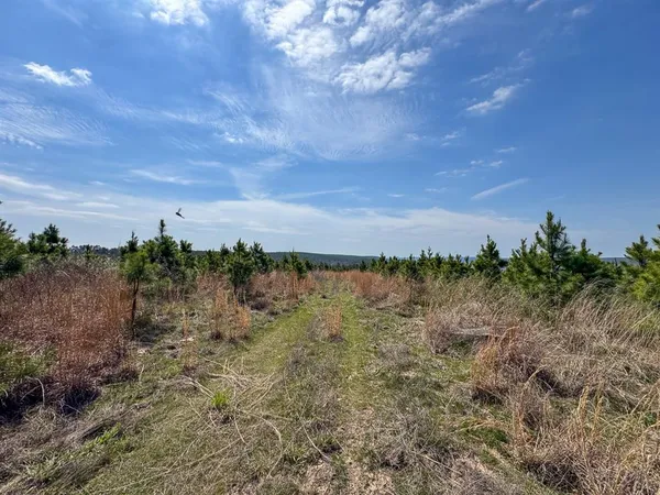 $325,000 | 1 Off N4220, Clayton, OK 74536