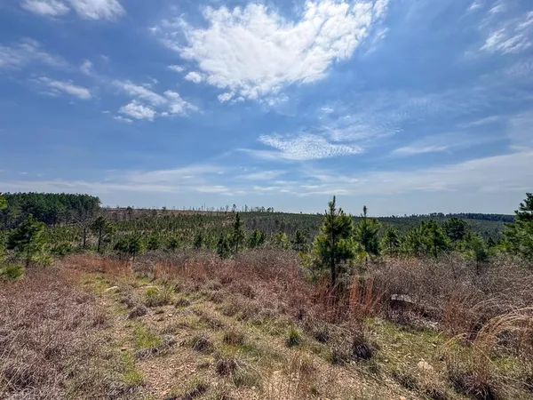 $325,000 | 1 Off N4220, Clayton, OK 74536