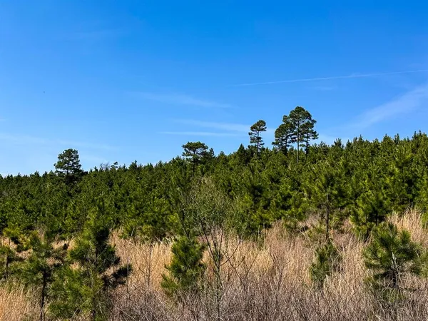 $325,000 | 1 Off N4220, Clayton, OK 74536