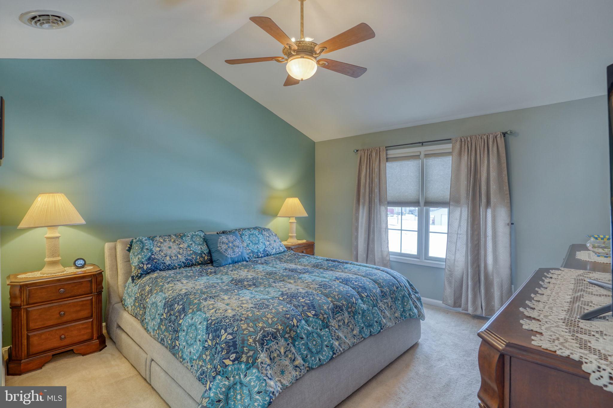 46 West Chestnut Ridge Drive Magnolia, DE 19962 - Photo 17 of 41 Primary Bedroom