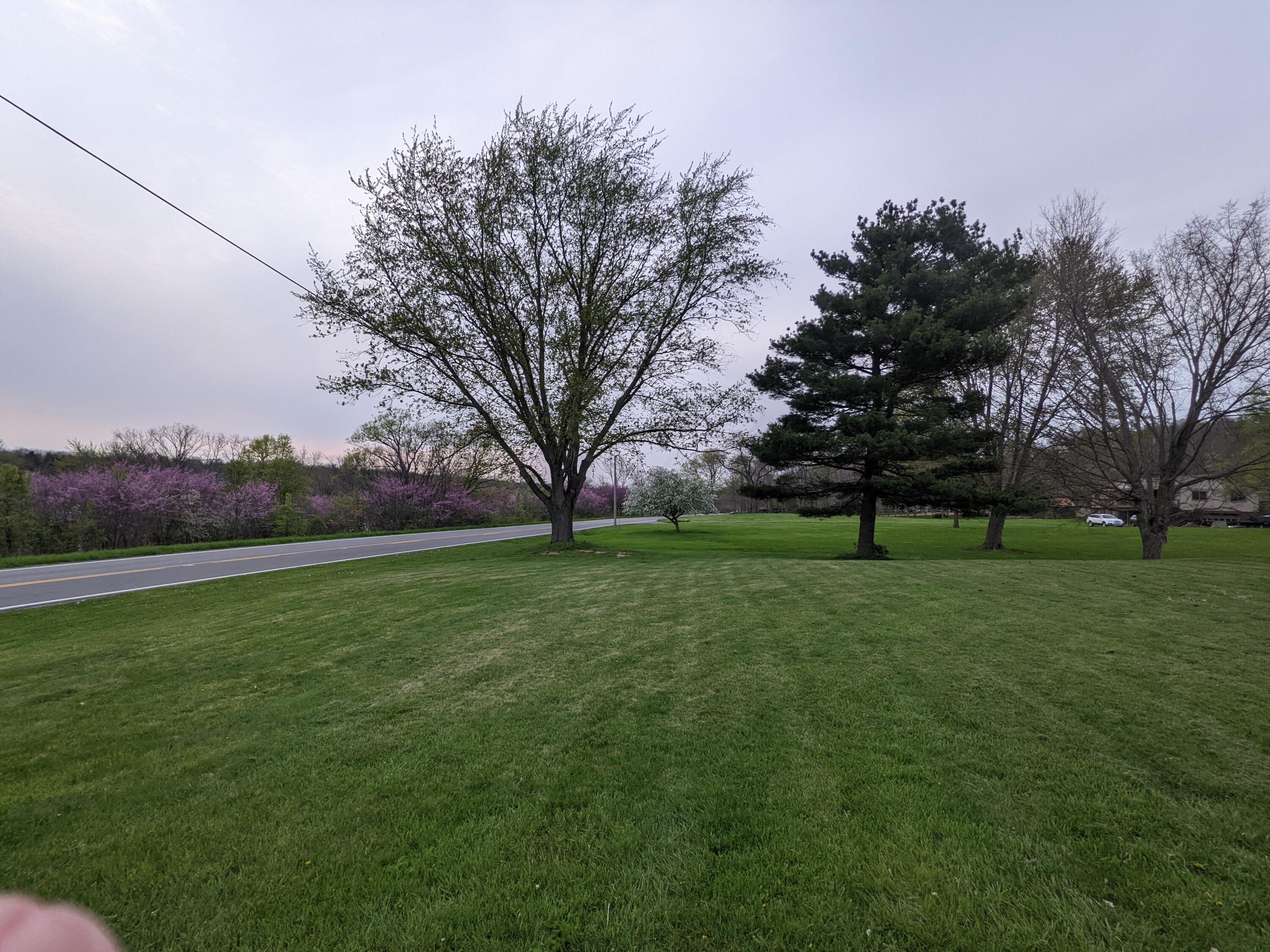 7445 Riverside Drive Powell, OH 43065 - Photo 9 of 21 PXL_20220429_000119690
