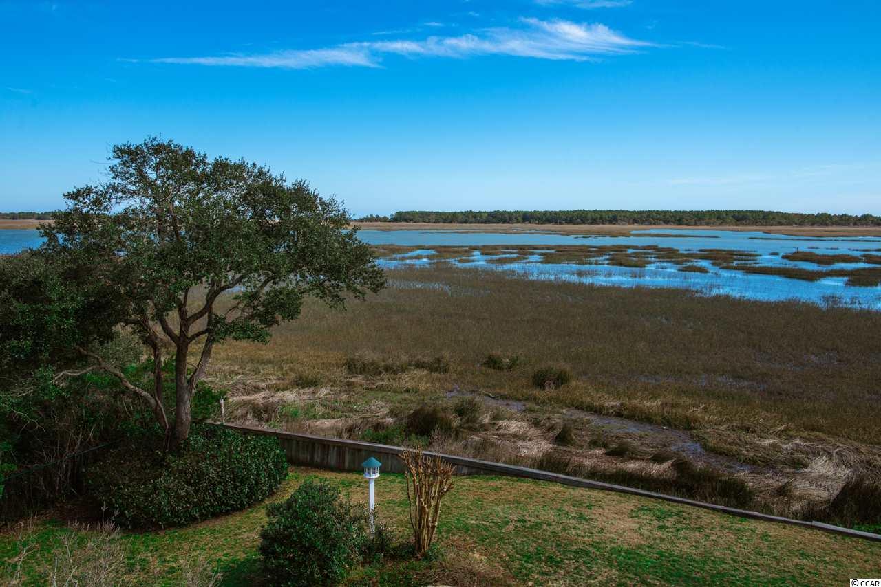 834 Channel Cat Cove Murrells Inlet, SC 29576 - Photo 17 of 25 Gallery Image 17