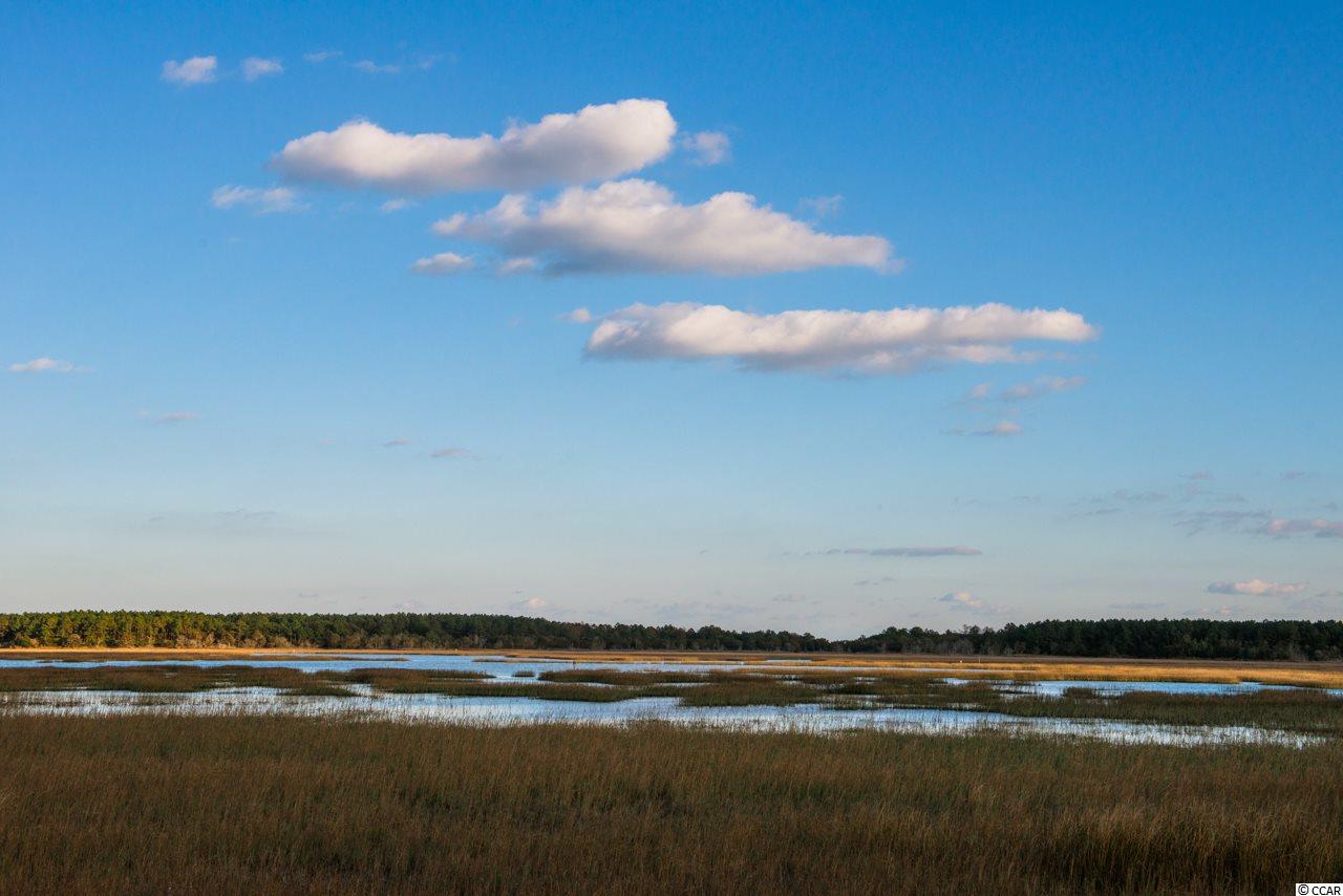 834 Channel Cat Cove Murrells Inlet, SC 29576 - Photo 24 of 25 Gallery Image 24