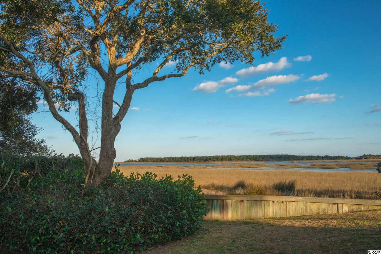 834 Channel Cat Cove Murrells Inlet, SC 29576 - Photo 25 of 25 Gallery Image 25