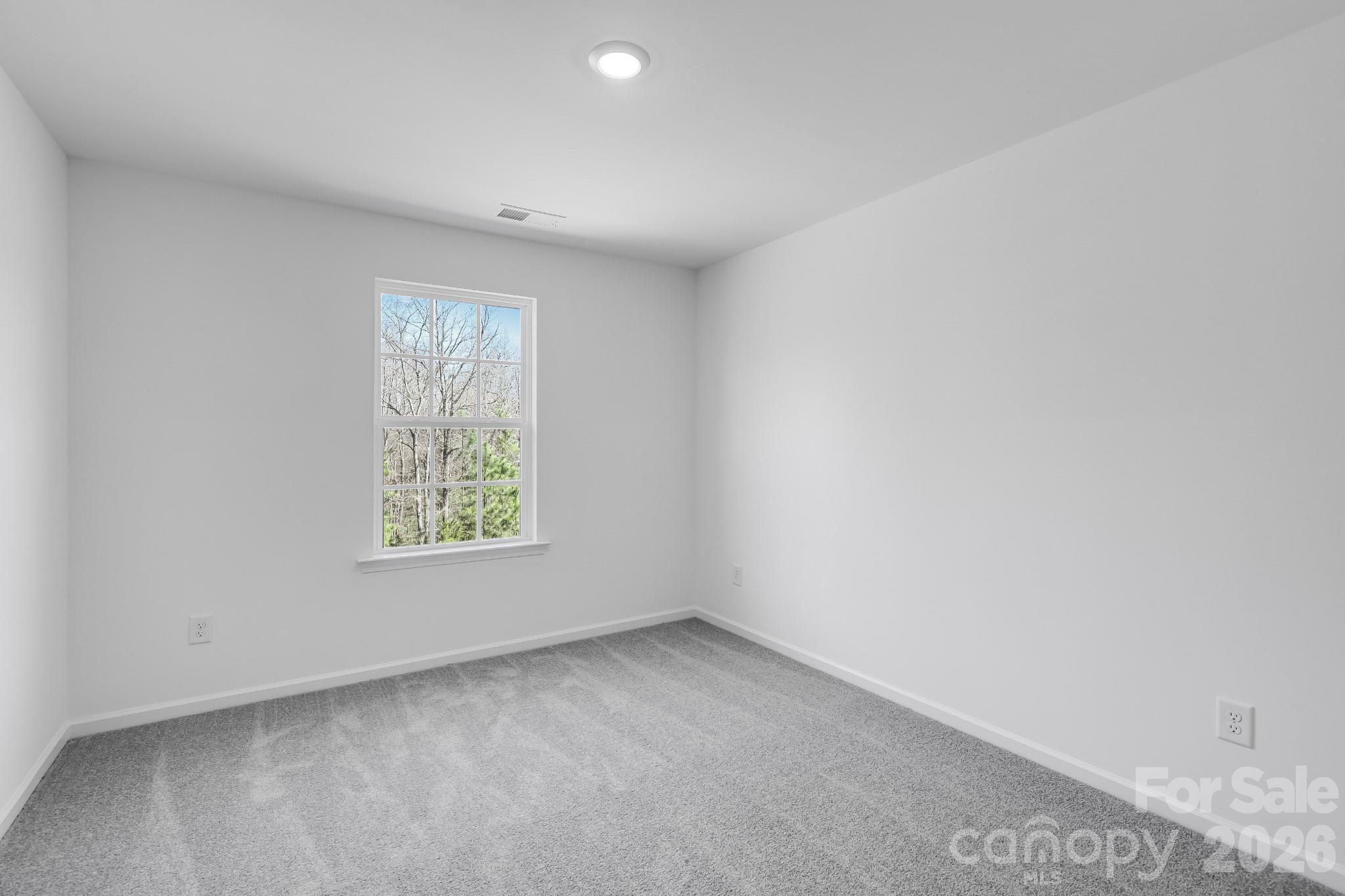 647 Sparano Loop York, SC 29745 - Photo 4 of 15