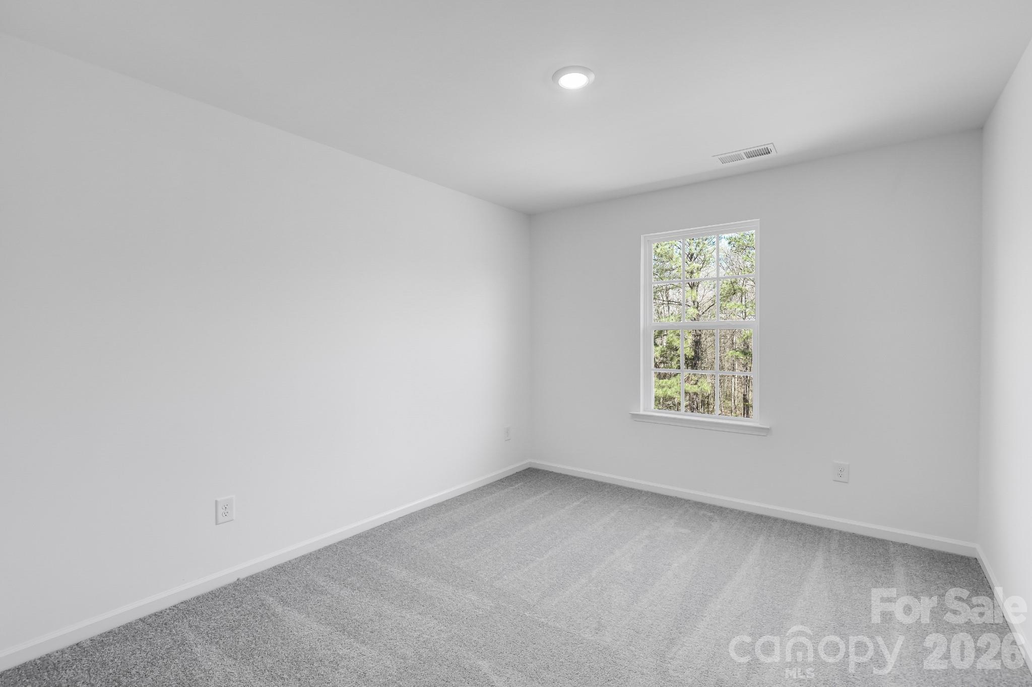 647 Sparano Loop York, SC 29745 - Photo 5 of 15