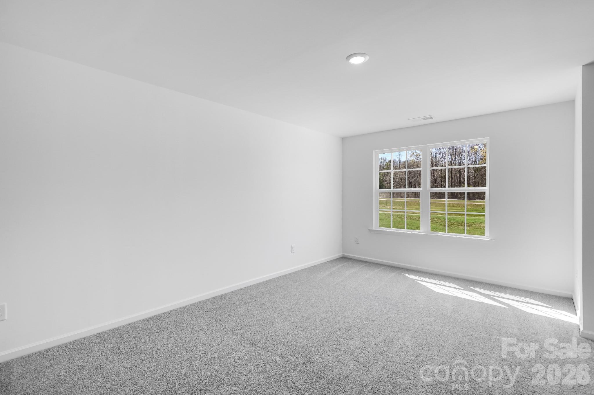 647 Sparano Loop York, SC 29745 - Photo 6 of 15
