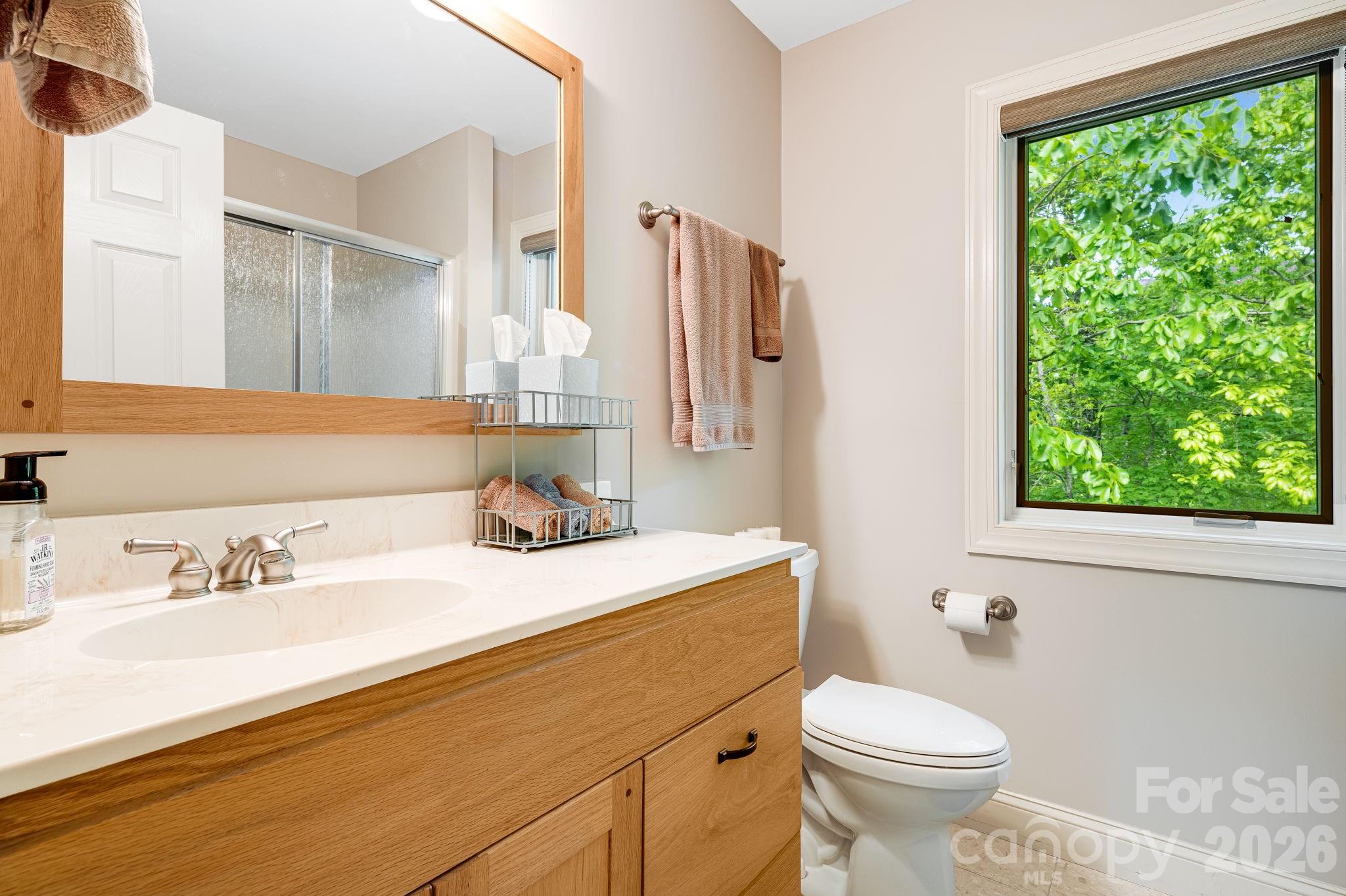 5584 Spring Road Hendersonville, NC 28739 - Photo 29 of 45 a bathroom with a sink toilet a mirror and bathtub