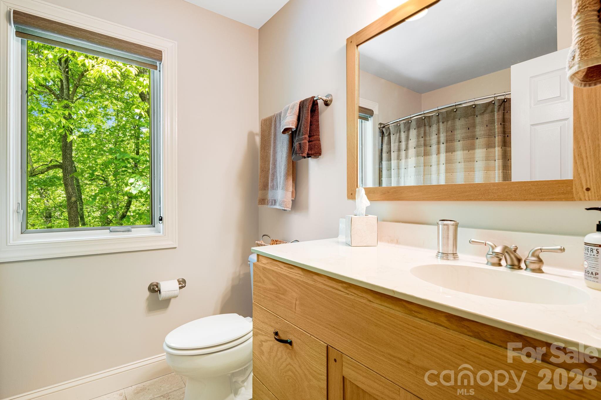 5584 Spring Road Hendersonville, NC 28739 - Photo 31 of 45 a bathroom with a sink and a toilet