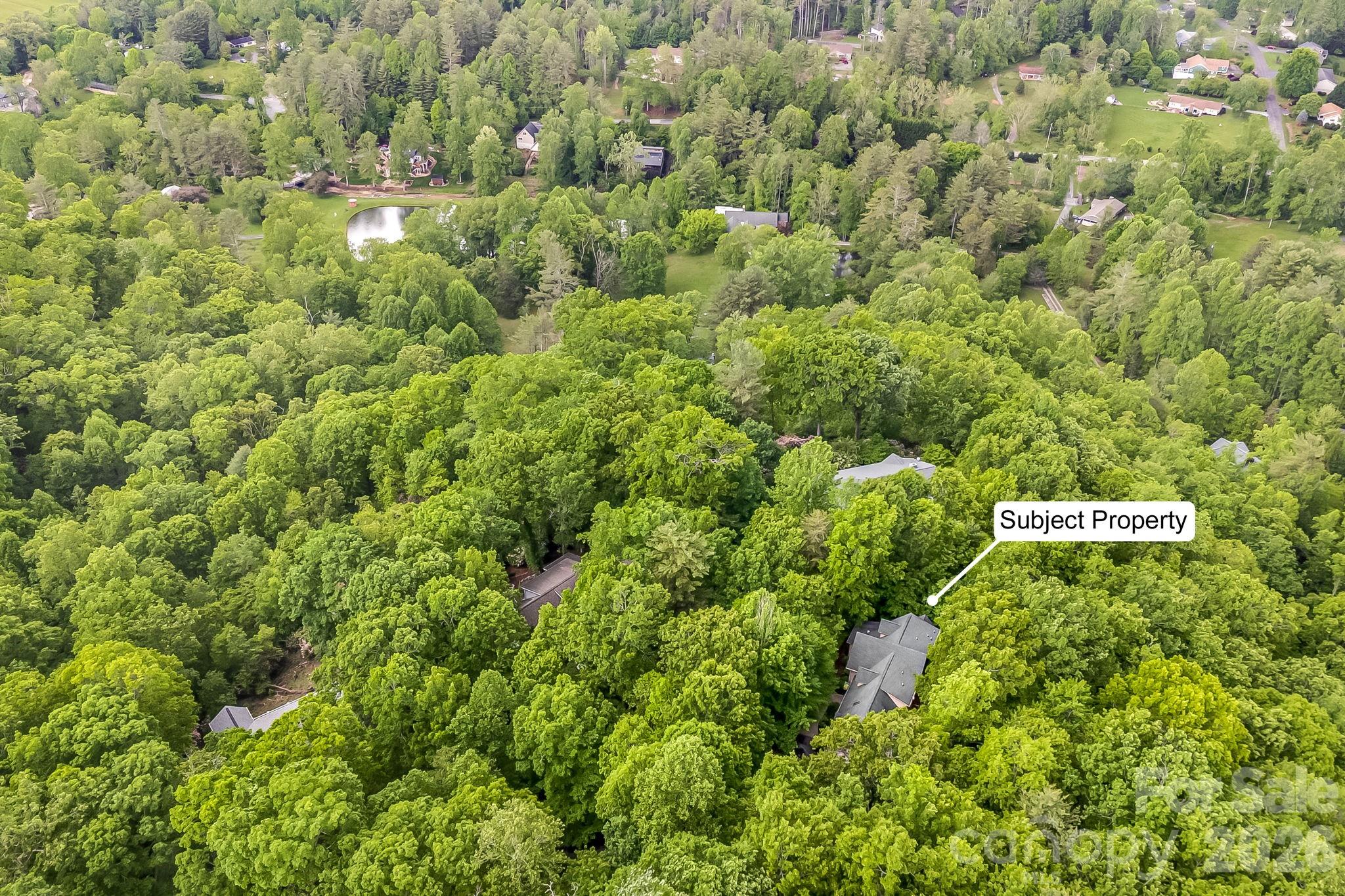 5584 Spring Road Hendersonville, NC 28739 - Photo 44 of 45