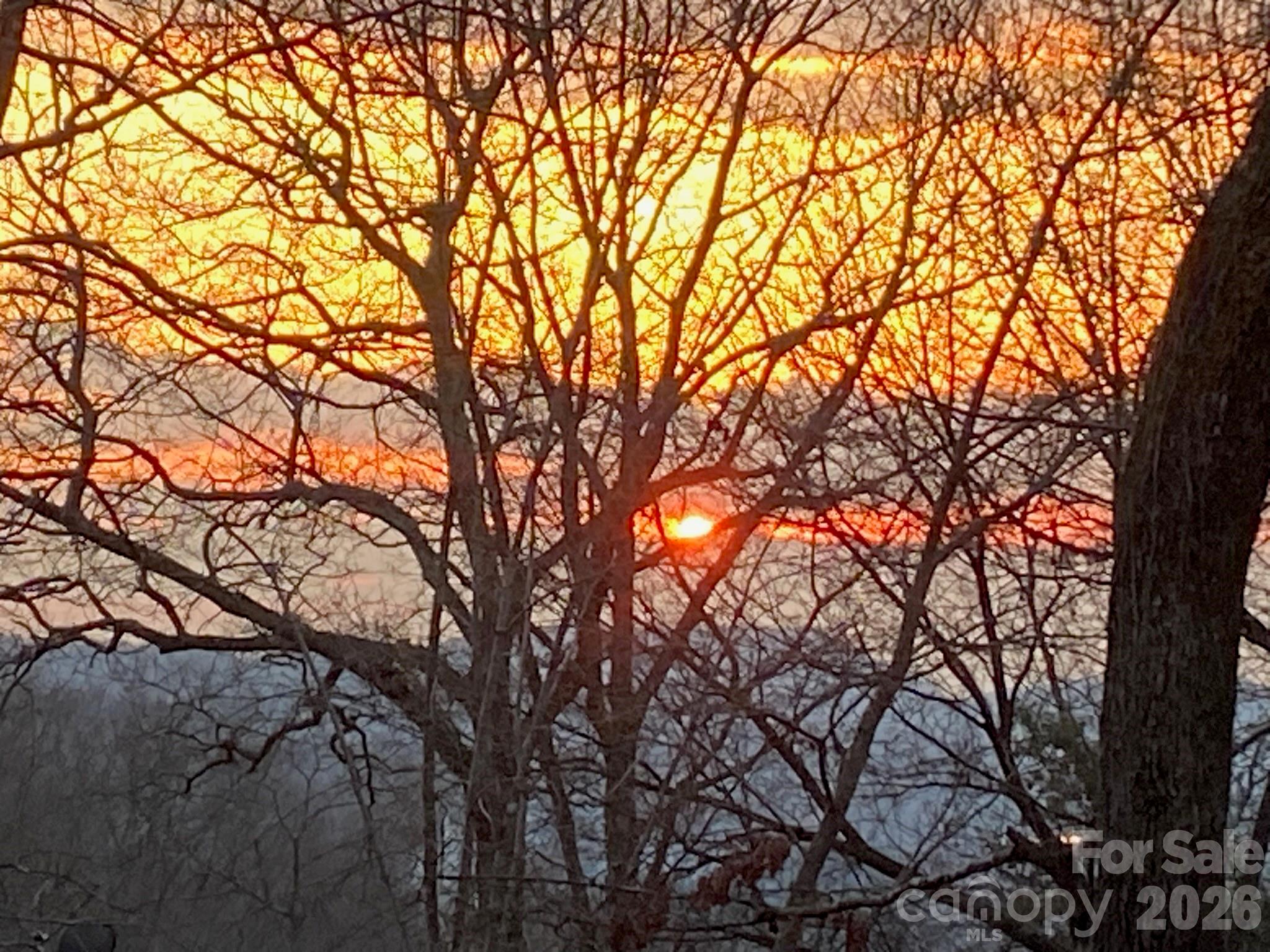 5584 Spring Road Hendersonville, NC 28739 - Photo 45 of 45 a backyard of a house with large trees