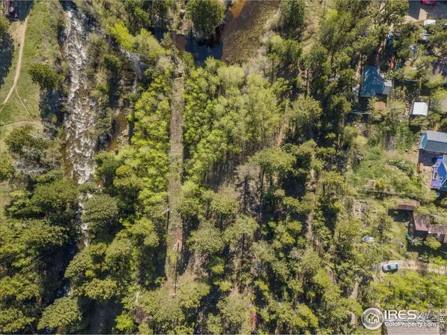 a close up of a tree