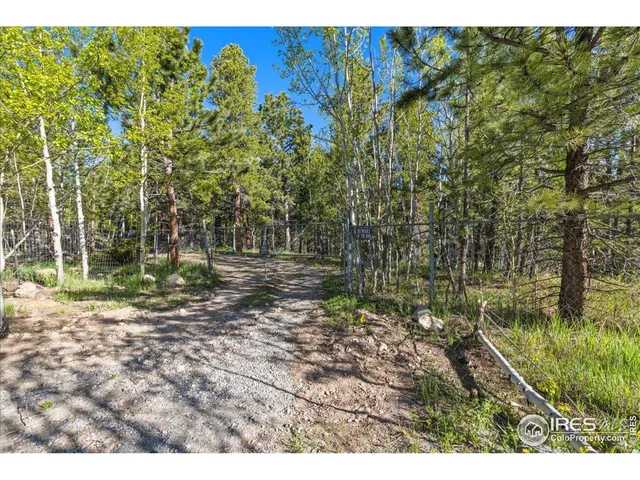 a view of a park with large trees