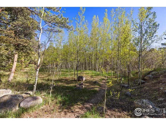 a view of outdoor space with a garden