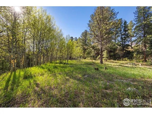 a view of a house with a lush green forest