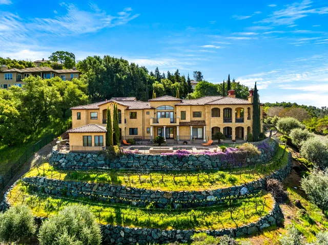 a view of a house with potted plants and a fountain