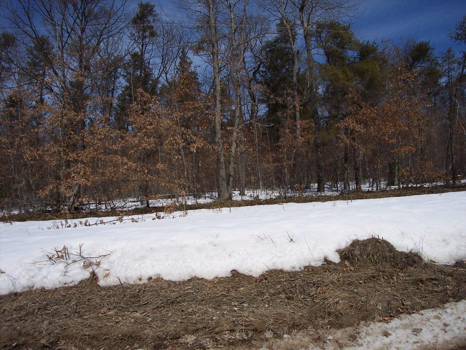 Aarons Road Lewiston, MI 49756 - Photo 6 of 8 Gallery Image 6