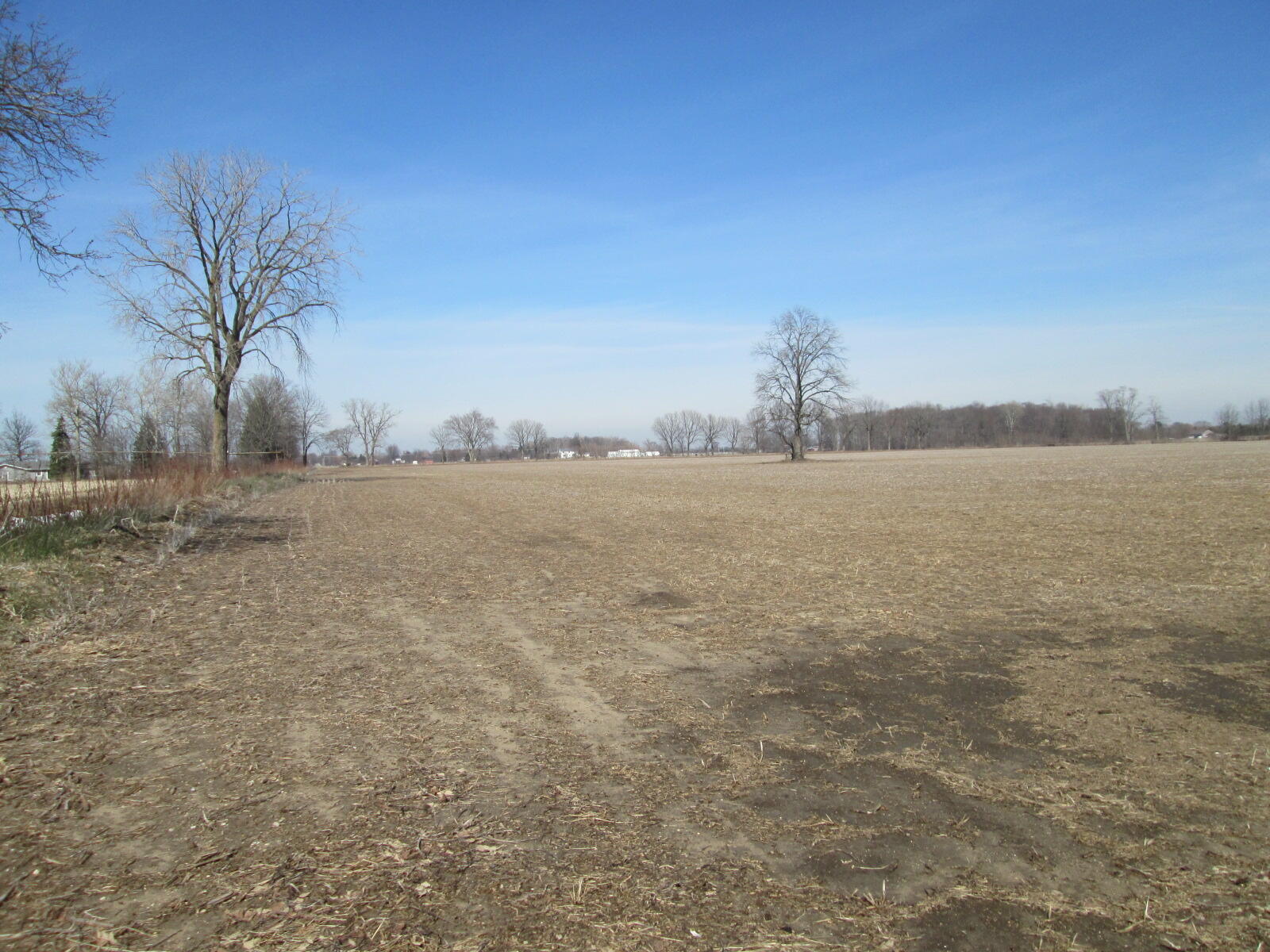 V/l West Lemon Creek Road, Unit 1 Baroda, MI 49101 - Photo 1 of 8 IMG_6039