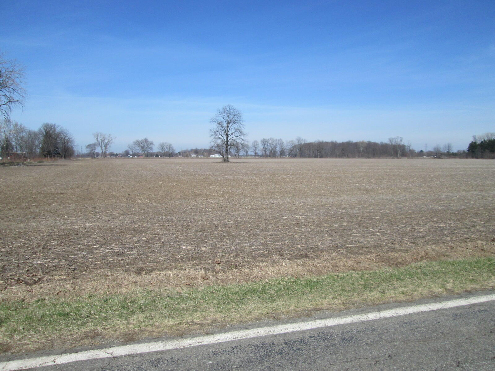 V/l West Lemon Creek Road, Unit 1 Baroda, MI 49101 - Photo 2 of 8 IMG_6040