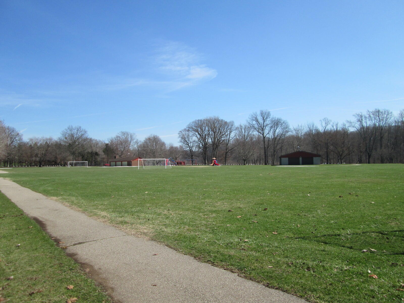 V/l West Lemon Creek Road, Unit 1 Baroda, MI 49101 - Photo 5 of 8 IMG_6046