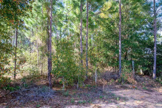 a view of backyard with green space