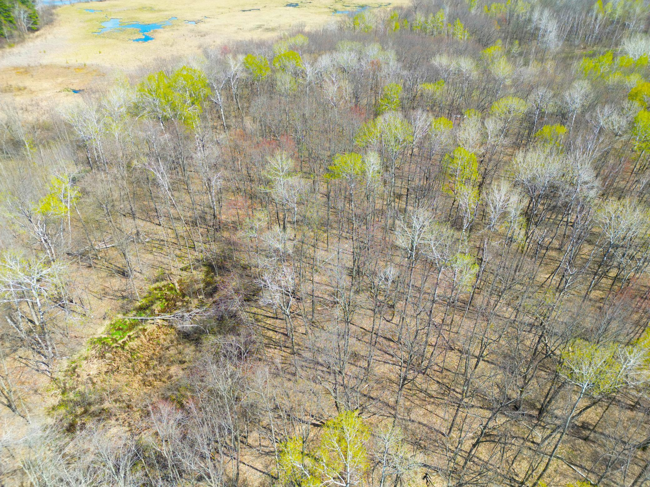 Xxx McGrew Road Isle, MN 56342 - Photo 12 of 92