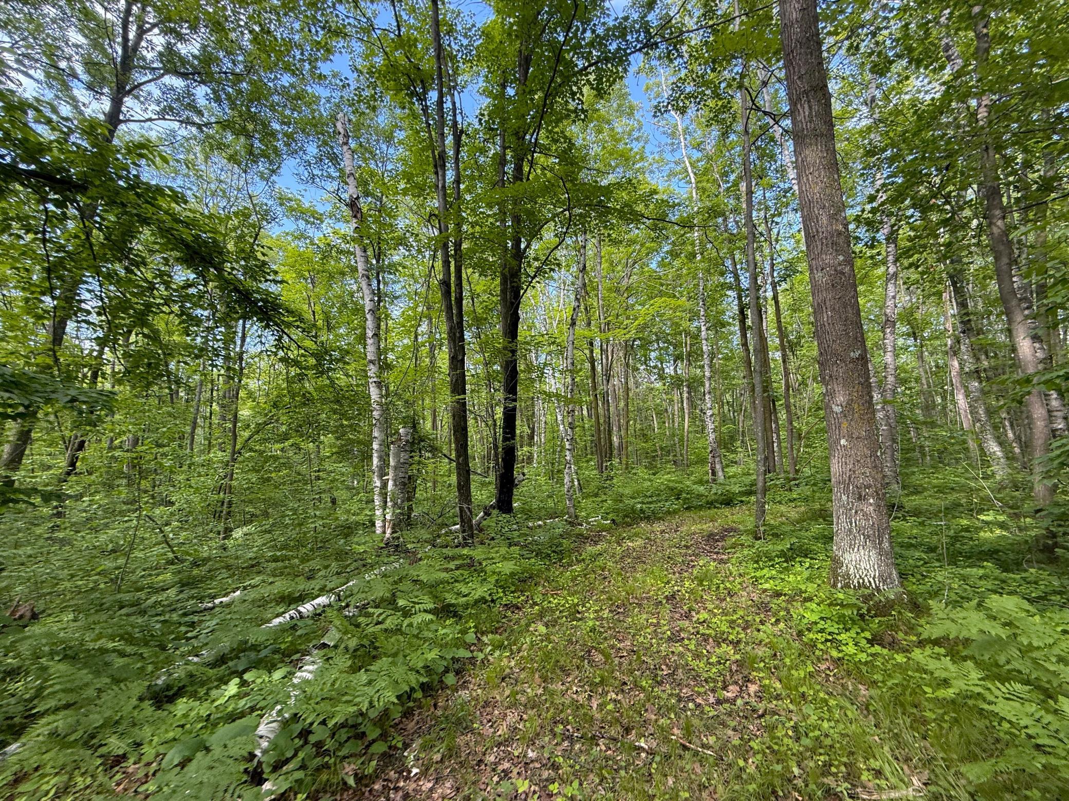 Xxx McGrew Road Isle, MN 56342 - Photo 24 of 92