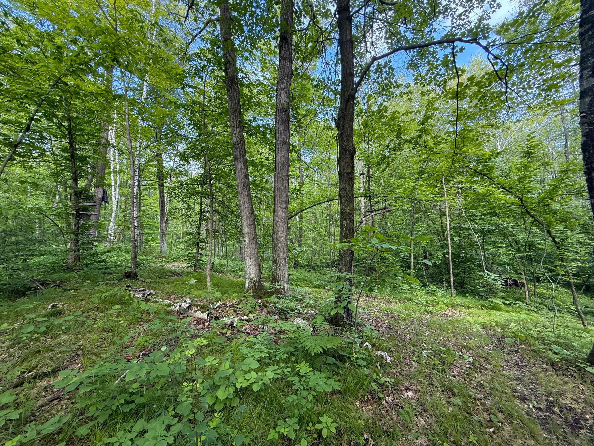 Xxx McGrew Road Isle, MN 56342 - Photo 25 of 92