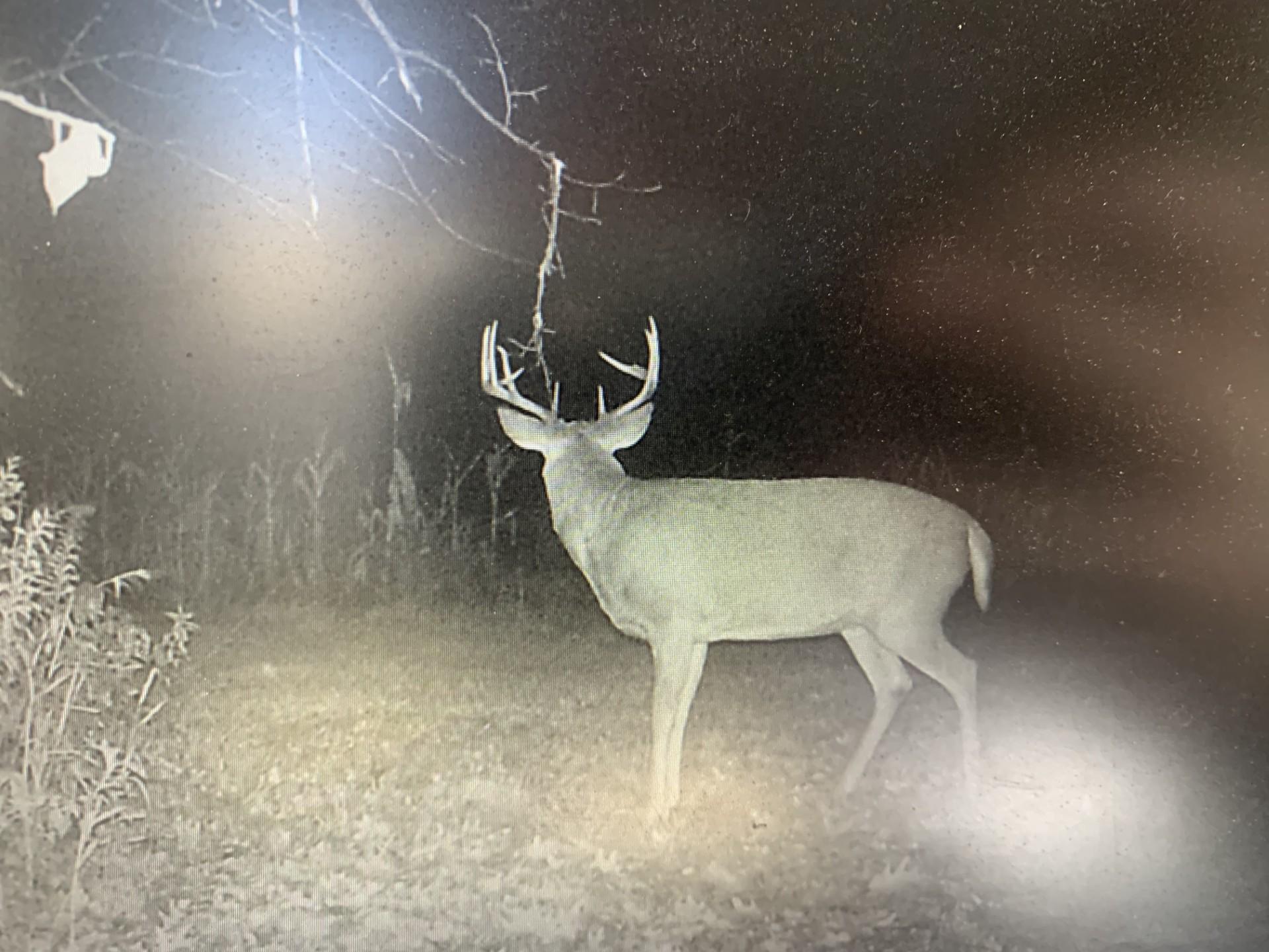 Xxx McGrew Road Isle, MN 56342 - Photo 29 of 92