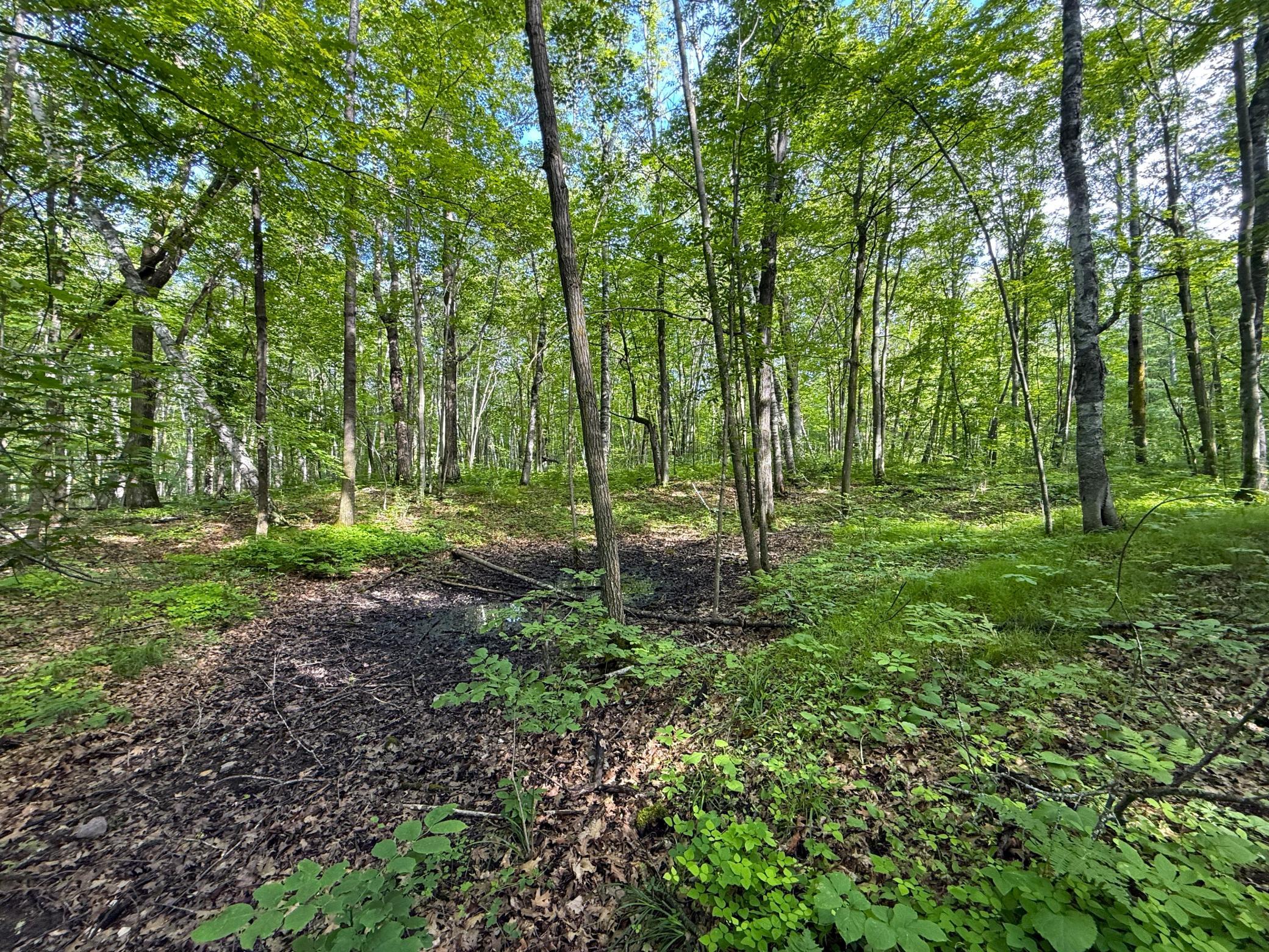 Xxx McGrew Road Isle, MN 56342 - Photo 54 of 92