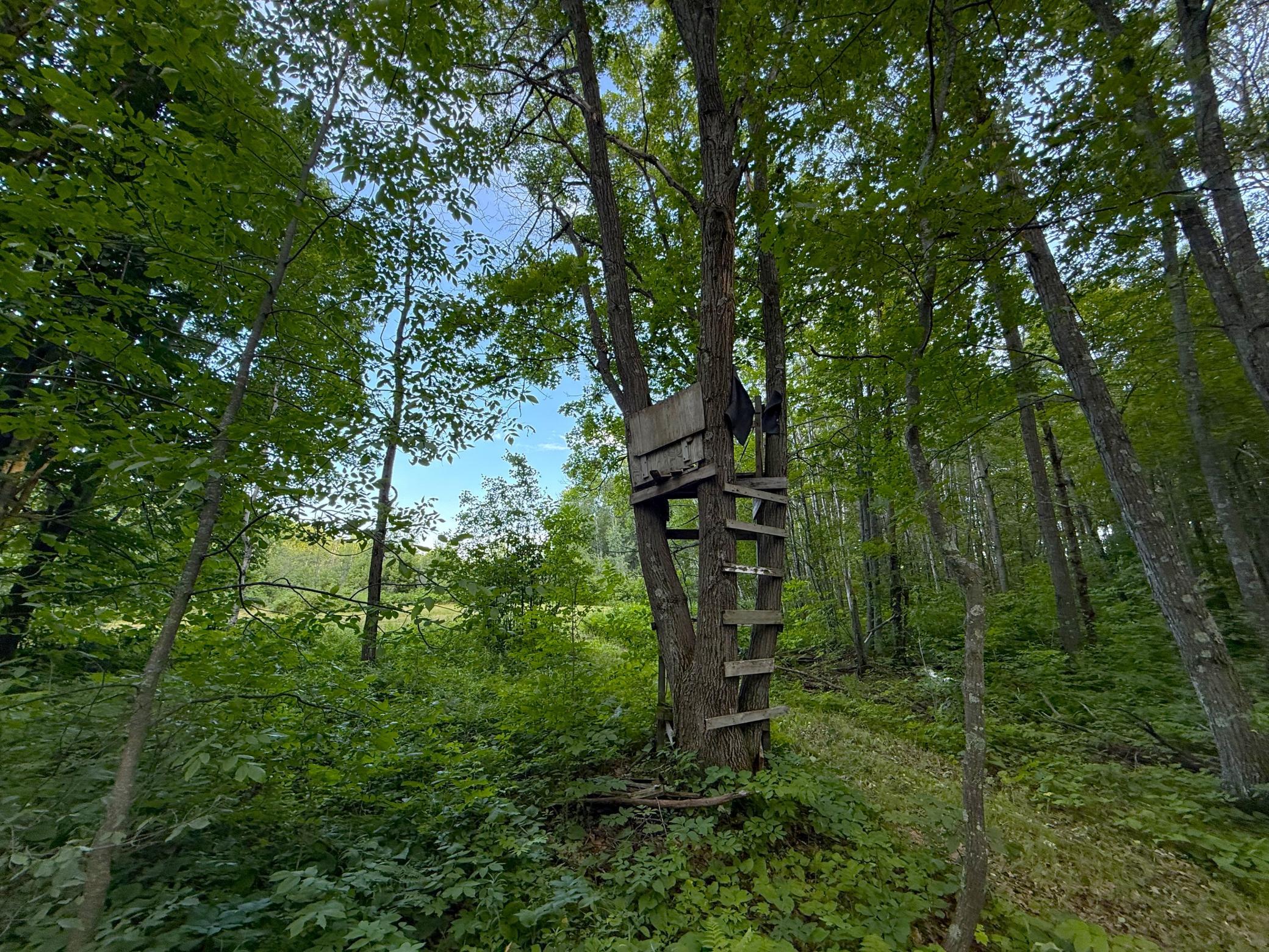 Xxx McGrew Road Isle, MN 56342 - Photo 60 of 92