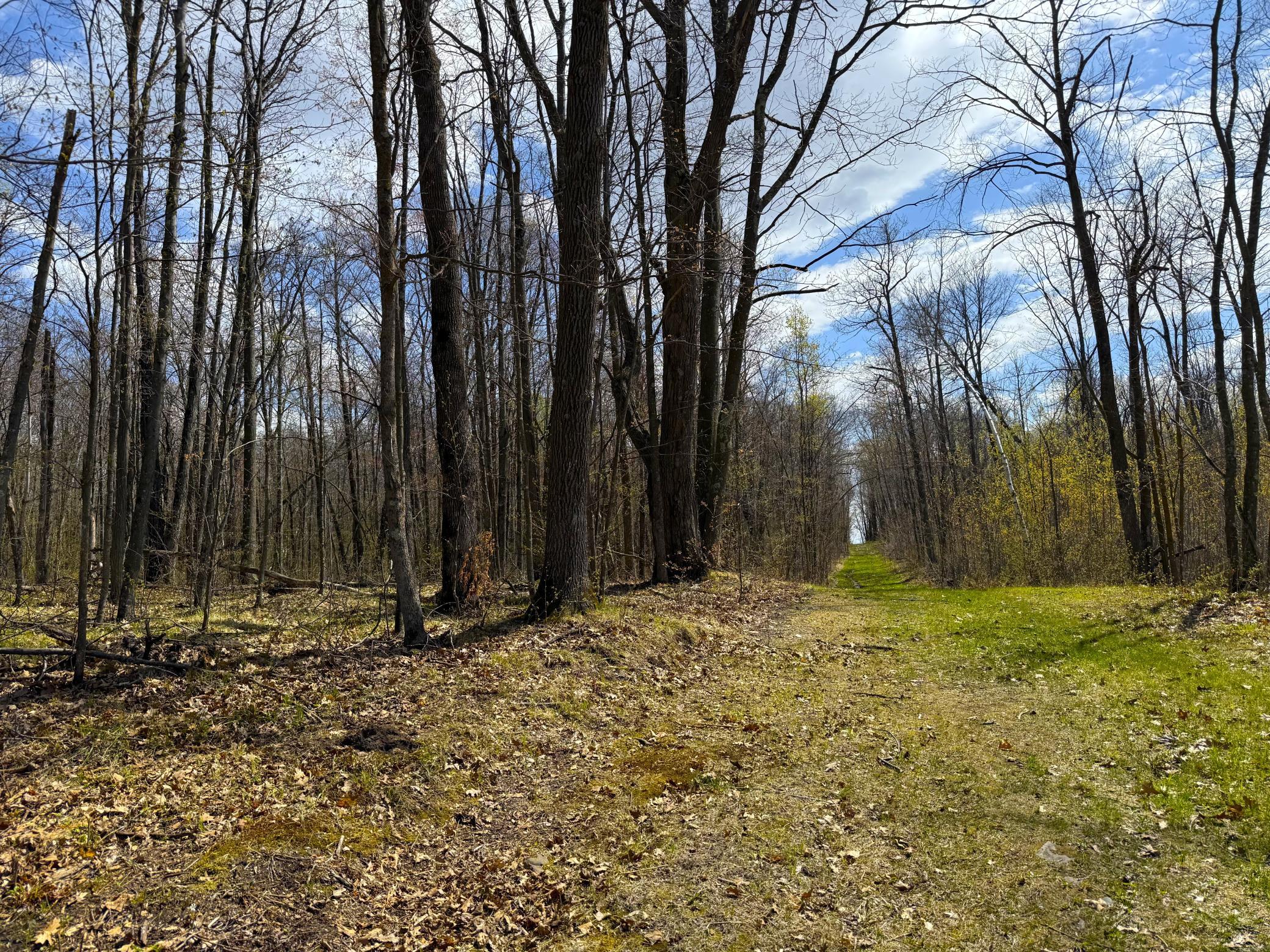 Xxx McGrew Road Isle, MN 56342 - Photo 6 of 92