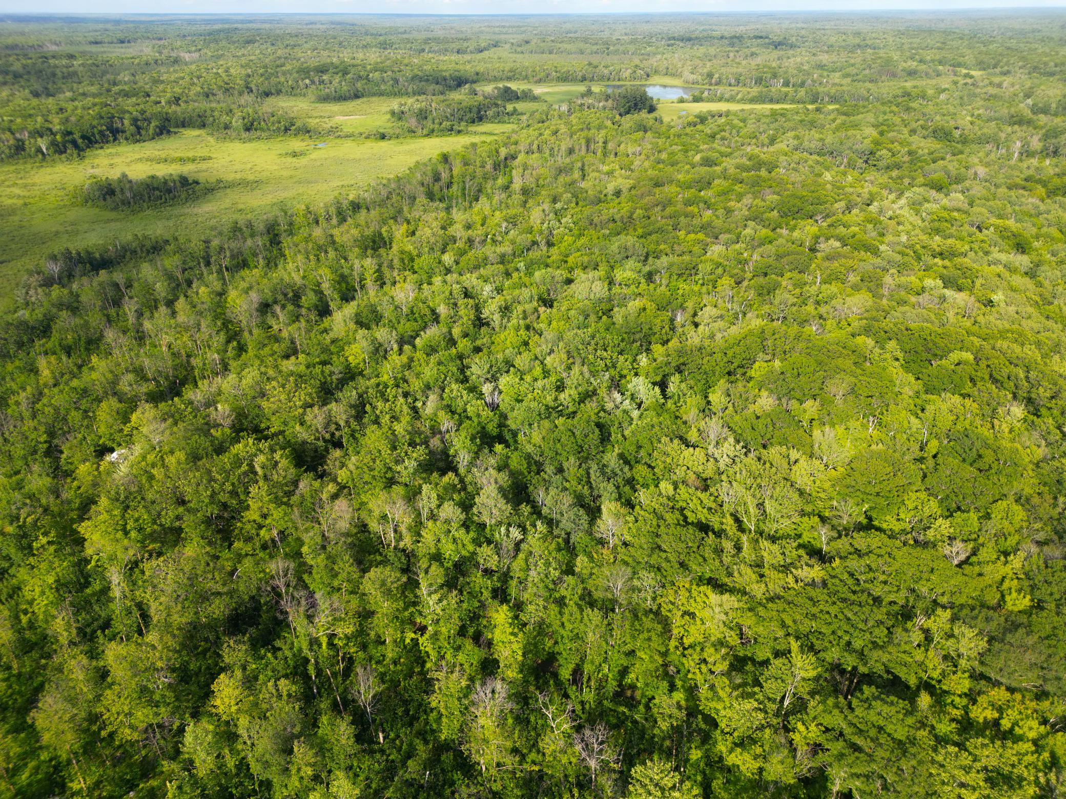 Xxx McGrew Road Isle, MN 56342 - Photo 65 of 92