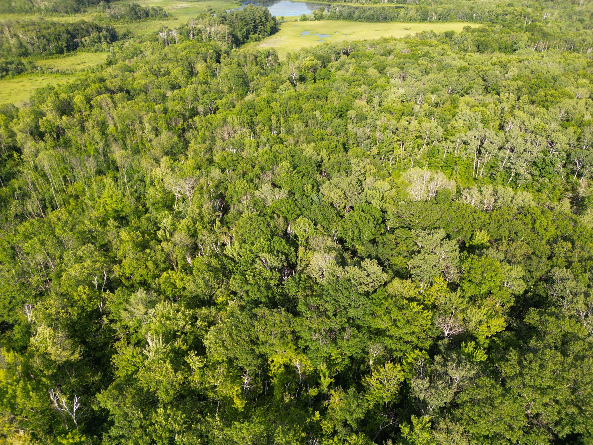 Xxx McGrew Road Isle, MN 56342 - Photo 67 of 92