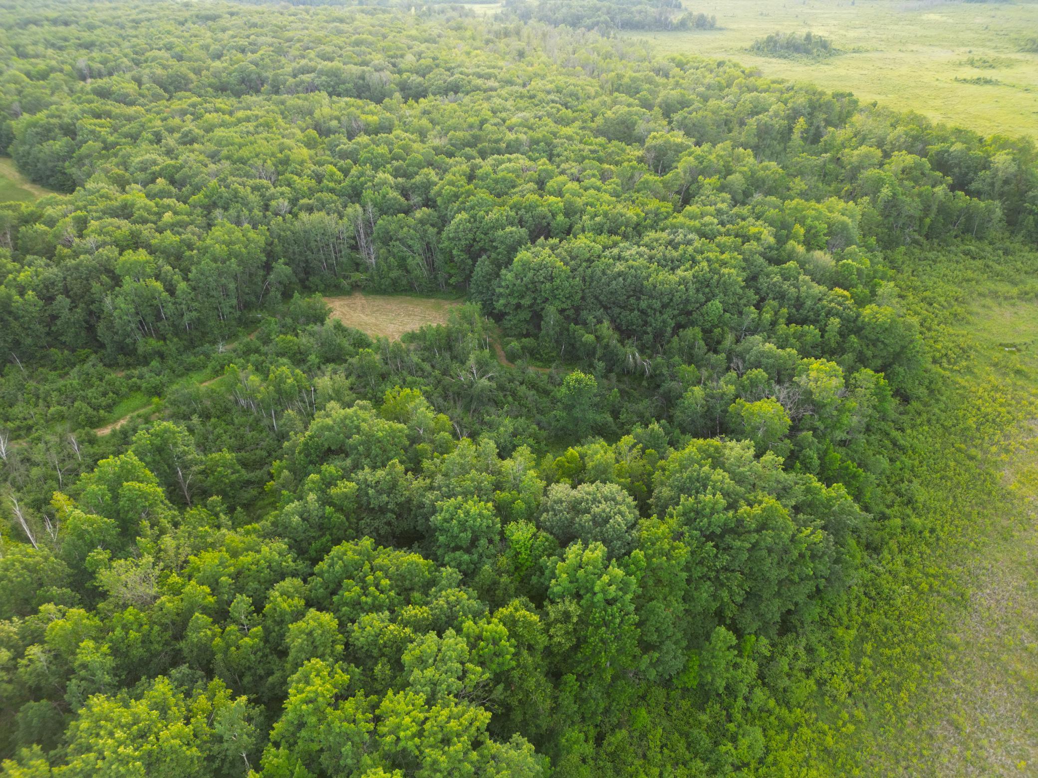 Xxx McGrew Road Isle, MN 56342 - Photo 74 of 92
