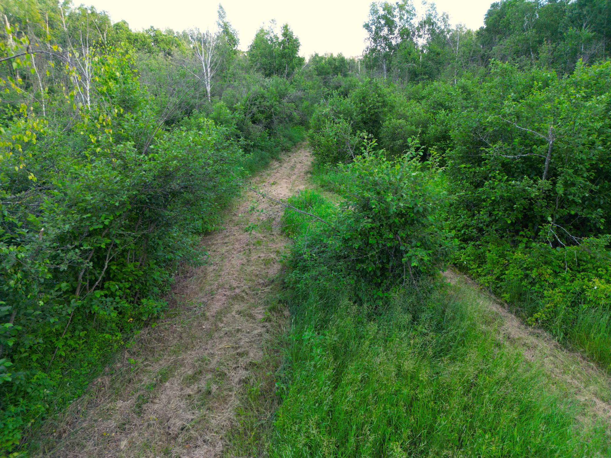 Xxx McGrew Road Isle, MN 56342 - Photo 78 of 92