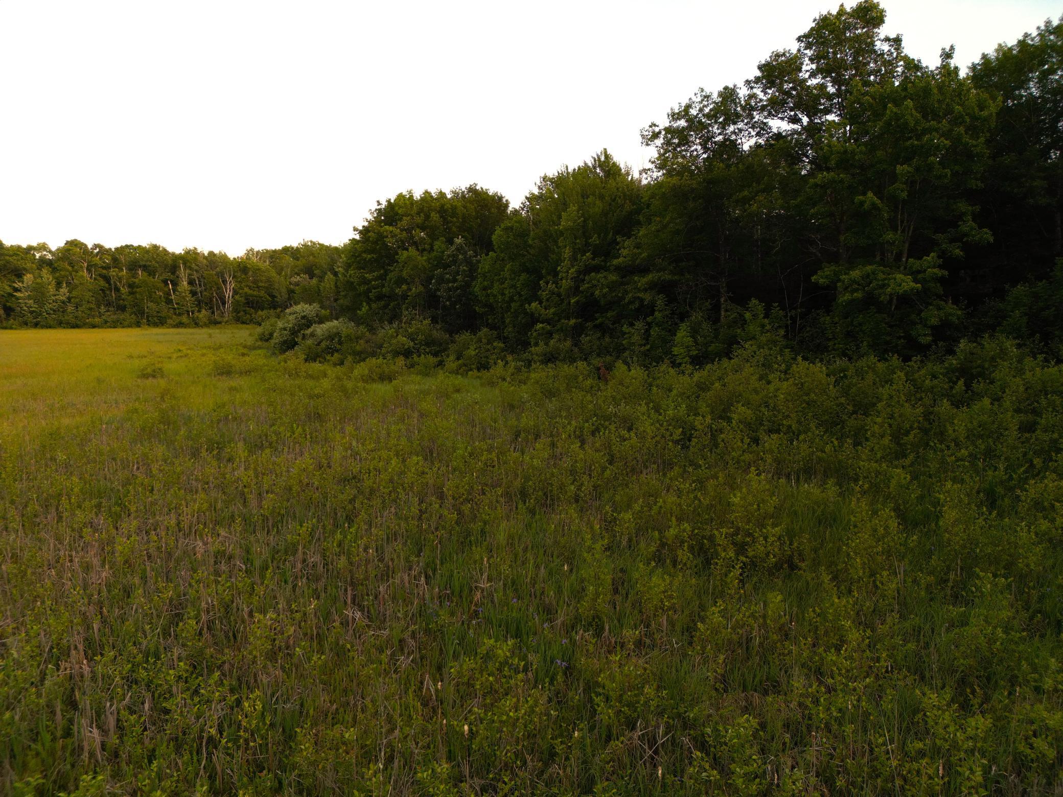 Xxx McGrew Road Isle, MN 56342 - Photo 80 of 92