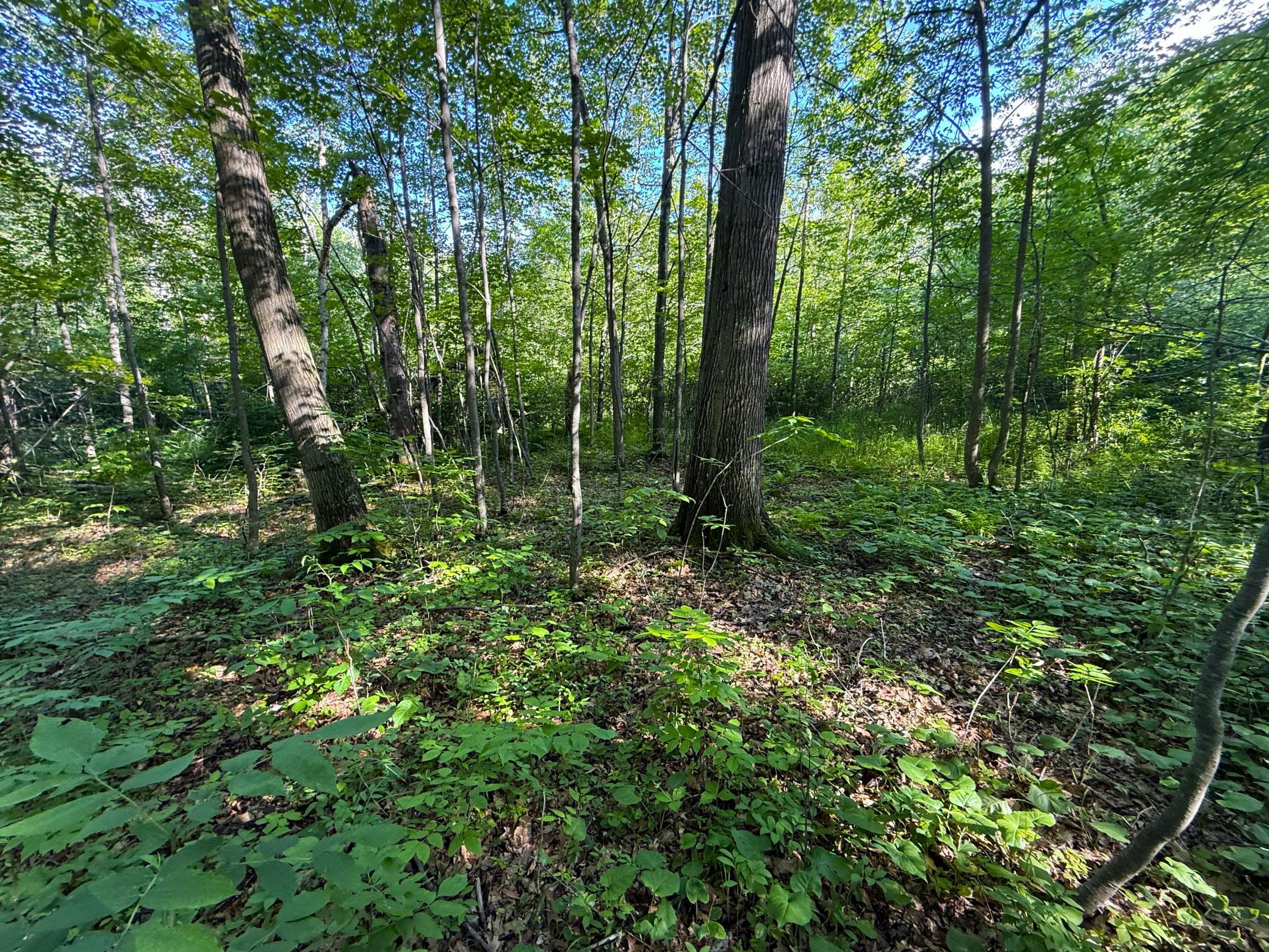 Xxx McGrew Road Isle, MN 56342 - Photo 81 of 92