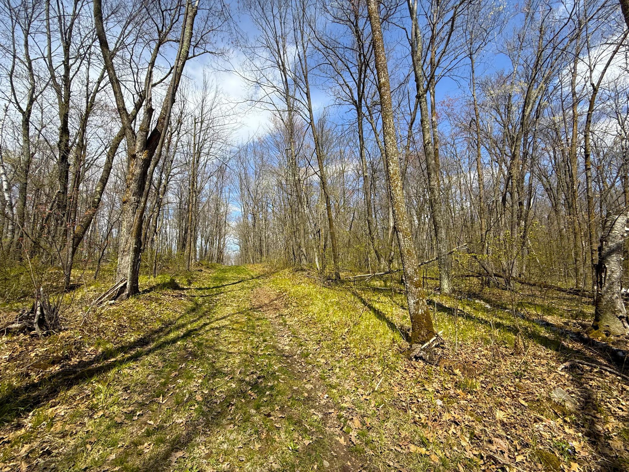 Xxx McGrew Road Isle, MN 56342 - Photo 84 of 92
