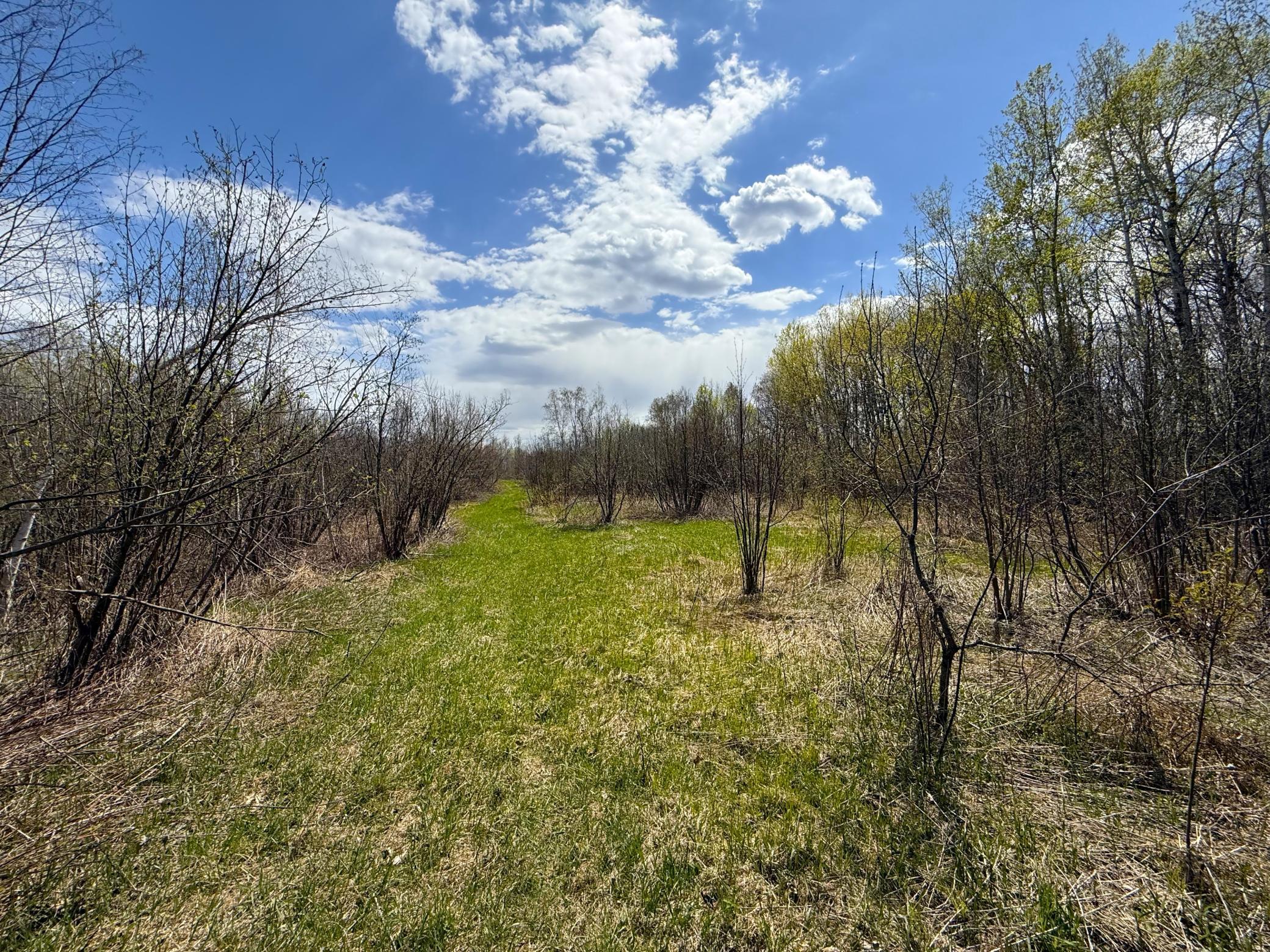 Xxx McGrew Road Isle, MN 56342 - Photo 91 of 92